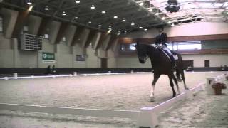 Dressage 馬場馬術 FEIインターメディエイトⅠ西嶋葉子＆ルイッジコラーニ [upl. by Fortuna]