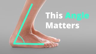 Unlock Ankle Mobility 3 guided exercises [upl. by Annaeiluj842]