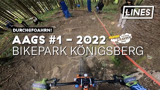 🏆 Winning Run 🏆 auner Austrian Gravity Series 2022  Bikepark Königsberg  Leo Freund  LINES [upl. by Drugge]