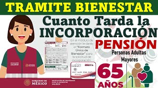 🚨 PENSIÓN BIENESTAR ¿Cuánto Tiempo Tarda El TRAMITE de INCOPORRACIÓN al PROGRAMA [upl. by Darce791]