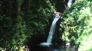 Waterfall at Monteverde Cloud Forest Reserve Costa Rica [upl. by Aidan]