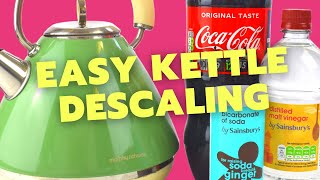 How To Clean amp Descale A Kettle WEIRD Methods [upl. by Oloap]