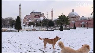 Neige à Istanbul  Sainte Sophie la mosquée bleue et le Bosphore tout de blanc vêtus [upl. by Reel418]