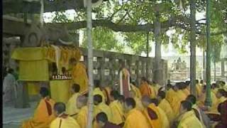 Holy sites of buddhism  Along with Buddha  part 1 [upl. by Vivle]