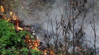 19072013 Bahndamm und Waldbrand Gloggnitz Aue Einsatzdoku [upl. by Ecnerolf]