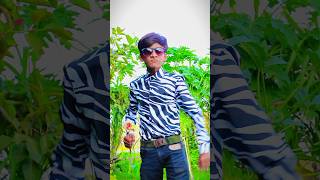 Dushtu Kokil  Toofan Shakib Khan  2024 New song shorts viral trending love sadstatus dance [upl. by Anees]