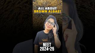 All about Brown Algae Explained in a Minute⏰📚🔥 neet biology brownalgae neet neet2025 [upl. by Oak429]