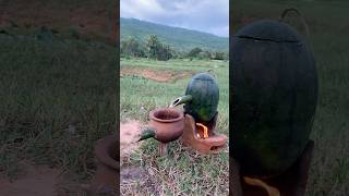 Survival Skills steam bad water in Watermeloncamping outdoors bushcraft survival [upl. by Micah]