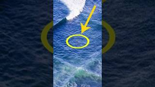 Why are such waves dangerous nature interesting factvideo [upl. by Irrabaj]