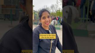 Welcome to the oldest zoo in the world schönbrunn zoo in Vienna malayalam vlog [upl. by Price]