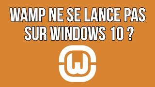 résoudre le problème dicon orange sur wampserver [upl. by Adleme]