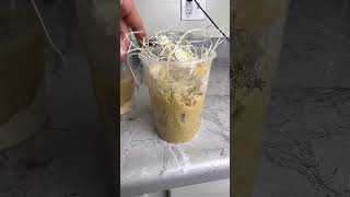 How To Breed Flightless Fruit Flies youtubeshort fruitflies fyp [upl. by Alliscirp]