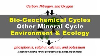 What is Phosphorus Sulphur Calcium Potassium Cycles  Environment amp Ecology [upl. by Townshend487]