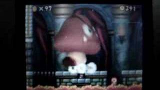 Mario bros unfair match  NSMB DS [upl. by Dom]