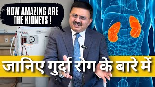 Kidney Function  Kidney Diseases Causes Treatment  Dr Jamal A Khan  Health wealth and lifestyle [upl. by Teillo]