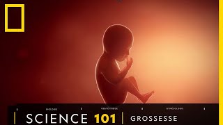 Tout comprendre sur  la grossesse [upl. by Pogah]