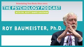 From the Archives Roy Baumeister on Identity the Self and the Meaning of Life [upl. by Nawad131]