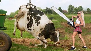 Thrilling Farming Adventure Girl vs Chainsaw Cow Milking amp Tree Cutting  DIY [upl. by Affer]