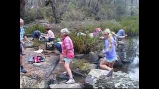 Digging for sapphires at the Bottom End Yarrow Creek Glen Innes NSW Australia [upl. by Scheers]