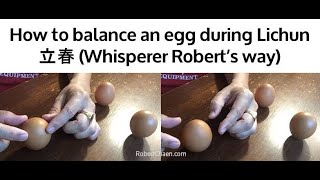 How to balance an egg upright during LichunLap Chun 立春 the New Lunar Year Whisperer Robrens Way [upl. by Eadahs]