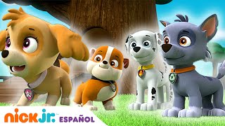 PAW Patrol  ¡Los cachorros salvan el día Compilación de 20 minutos  Nick Jr en Español [upl. by Eentroc]