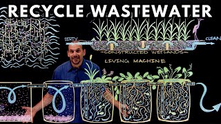 How to Recycle Waste Water Using Plants [upl. by Elak320]