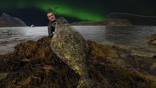 Spearfishing Giant Atlantic HALIBUT in Norway [upl. by Priscella]