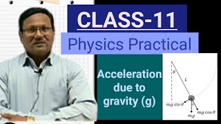 CLASS11 PRACTICAL To determine the value of accn due to gravity g 4π²lT² By Simple Pendulum [upl. by Leia]