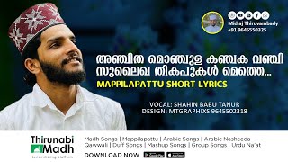 അഞ്ചിത മൊഞ്ചുള  Anjitha Monjula  Mappilapattu Short Lyrics  OM Karuvarakundu  Shahin Babu Tanur [upl. by Enttirb]