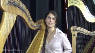 Harpschoolcom  apprendre la harpe  niveau avancé école de harpe en ligne [upl. by Aiuqram837]