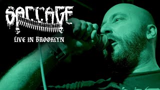 SACCAGE  Live in Brooklyn The Meadows 111723  FULL SET [upl. by Nihi610]