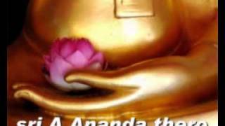 Ven Ambilipitiye Ananda Thero  Sammasamadhi Intl Meditation Center  Listen beyond Words amp Time [upl. by Xenos350]