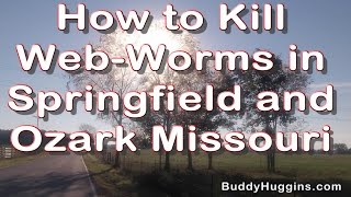 How to Kill WebWorms in Springfield and Ozark Missouri [upl. by Giusto700]