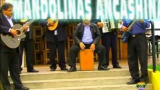 Mandolinas Ancashinas  Serenata [upl. by Guise]