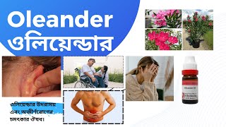 Oleander  ওলিয়েন্ডার  Materia Medica  Learn oleander easily [upl. by Razid]