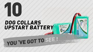 Dog Collars Upstart Battery  Top 10 Most Popular [upl. by Eiger]