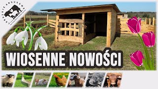 Lubuskie Angusowo  S4 E4  Wiosenne nowości na farmie [upl. by Aronid]