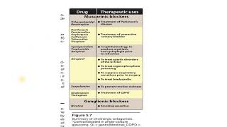 cholinergic antagonistscopolamine [upl. by Llertrac]