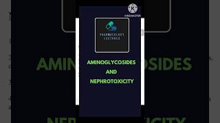 Factors increasing aminoglycosides induced nephrotoxicity pharmacology pharmacologymcq antibiotic [upl. by Alves]