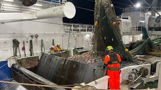 Atlantic Viking trawling the Barents Sea [upl. by Eveneg]