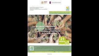 Los Recursos Forestales de México 210219 [upl. by Adnouqal579]