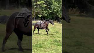 A Cowboys Last Wish Ride on His Favorite Horse at Bobbys Ranch [upl. by Weksler]