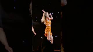 Wildest Dreams Taylor Swift The Eras Tour [upl. by Acinoda]