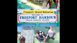 Part4🛳️🐬Cruise Vlog Freeport in Grand Bahamas Dolphin Close Encounter [upl. by Towbin]