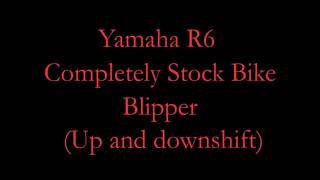 Blipper YAMAHA R6 Original Stock Bike [upl. by Ahsienat678]