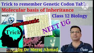 Trick to remember Genetic codon table  Triplet codon  Neet Biolgy  class 12 NCERT Biology [upl. by Raney]