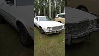 My 76 Torino has a pretty neat old custom made accessory [upl. by Euseibbob]