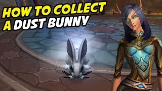 Dust Bunny  All Dusty Rug Locations [upl. by Teloiv]