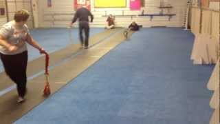 Puppy Flyball Class [upl. by Afesoj]