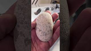 Dry Petoskey Stone [upl. by Charisse106]